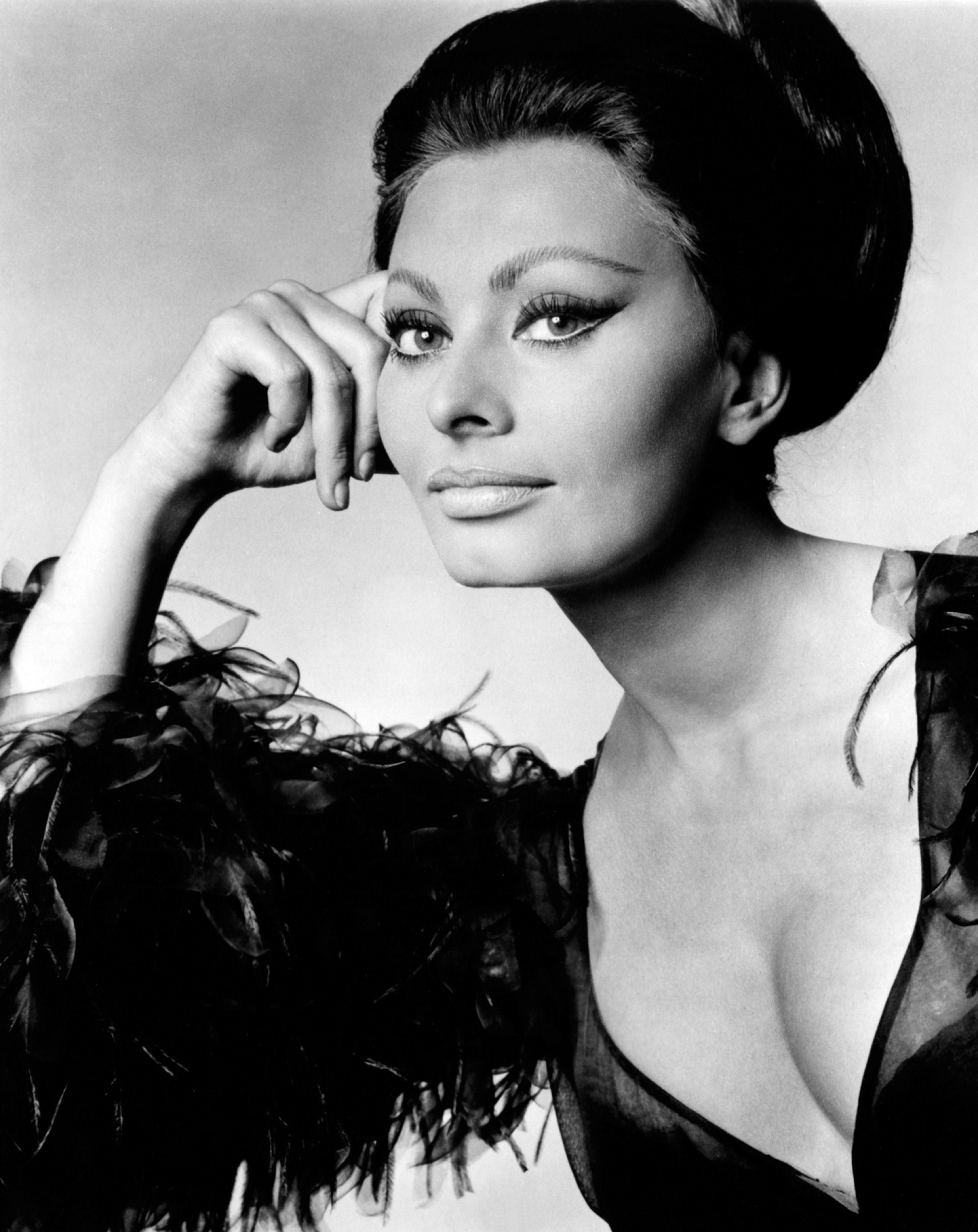 Next photo of Sophia Loren